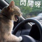 小样样