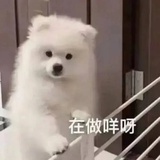 包好运神担