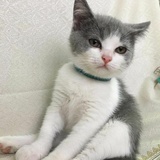 追光