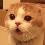 戡谶