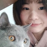 花田酱