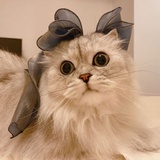 阿吉嫂