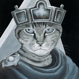 猫咪爱上鱼