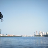 黑森林