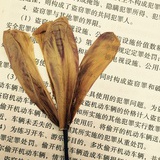 泥鳅田田