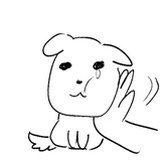 小狗乖乖