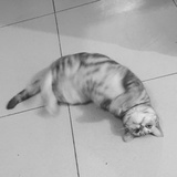 秋
