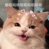 大璇