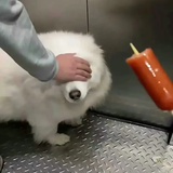 管埋员