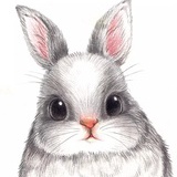 奶油猪