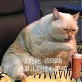 默尔索