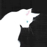 江南薇