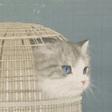漱雩