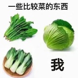 十元一碗