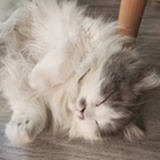 小笼包包