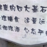 刘氏小娘子