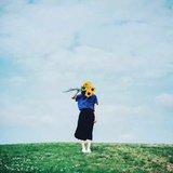 夏目zoro