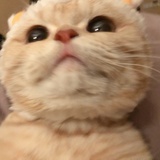 是骂我我搞谁
