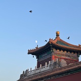 小乌