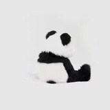 璇宝~