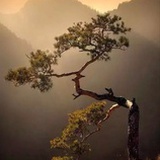 静玄子