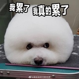 土土的
