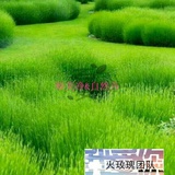 逝去的青春💅