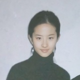 林中夕阳离开
