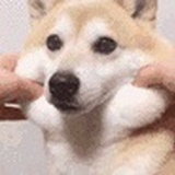 让你闭嘴