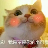 云二