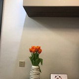 树洞树洞你是谁