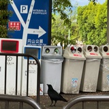 文馥懿