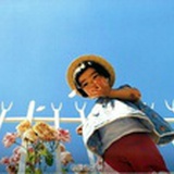 板栗君