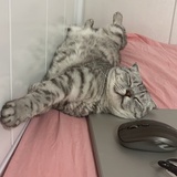 我是小老方