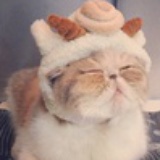 圆圆