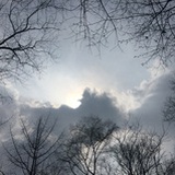 幽墨一夏