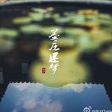 槲寄生