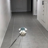 大呀大苹果呀