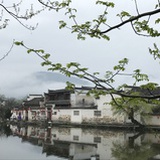 欲与君相知