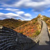 小白龙