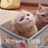 呀哈