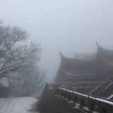 阿尔斯托特斯