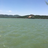 叶飘扬