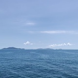 默默