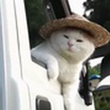 李子涵