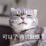 小懒猫