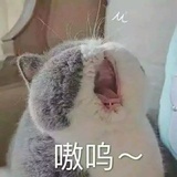 可乐不加冰