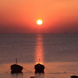 隐逸流光