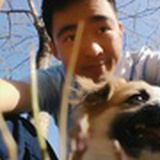 醒来会在哪