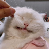 火鸡味锅巴